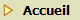 Accueil
